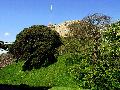 gal/holiday/Isle of Wight 2003/_thb_Carisbrooke_Castle_mound_DSC07381.JPG